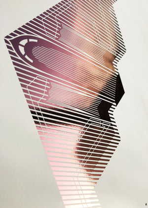 Digital foil aircraft print of the B-2 Spirit stealth bomber, rendered in rose gold foil on digital paper, showcasing its iconic flying wing design. Frame not included.